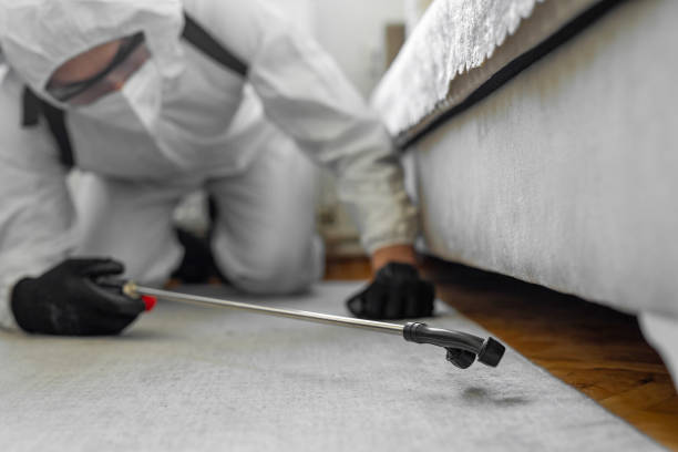 Professional Termite Control technician working in Montecito, CA