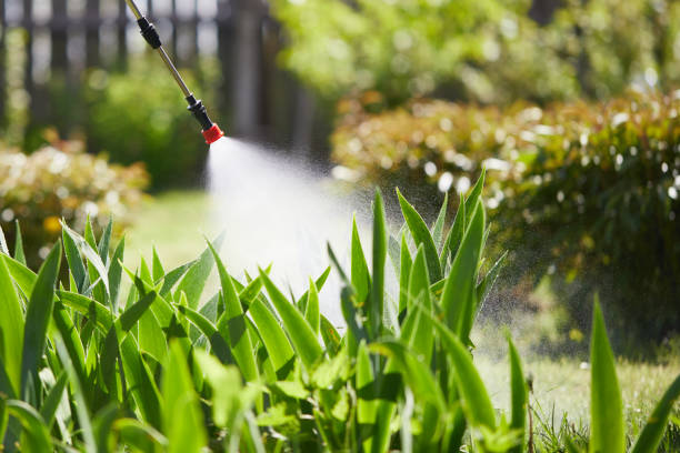 24/7 Emergency Termite Control experts in Montecito, CA