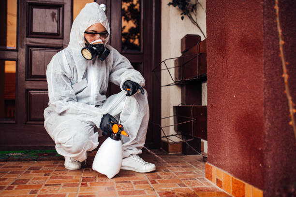 Reliable Termite Control contractor in Montecito, CA by Nex Pest Control